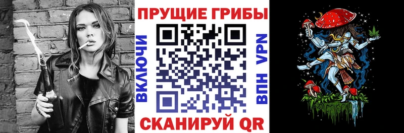 Псилоцибиновые грибы Cubensis  blacksprut зеркало  shop телеграм  Асбест 